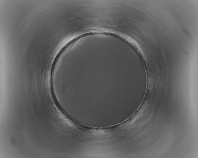 X0000114581231200911091229