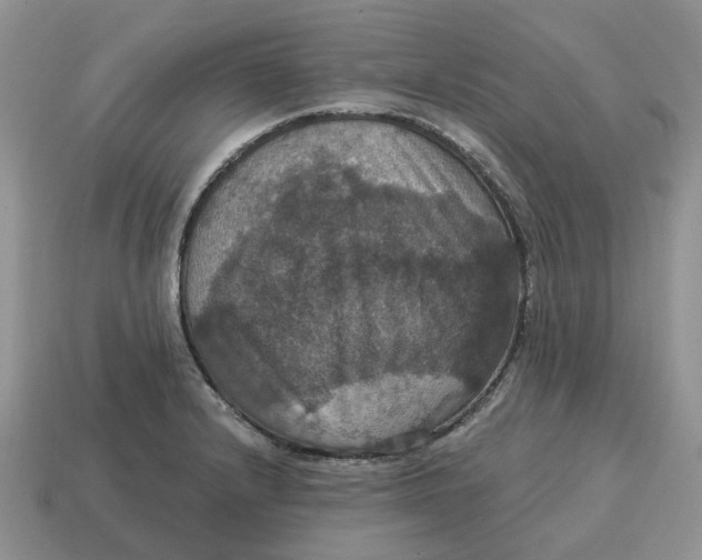 X0000114581232200911091229