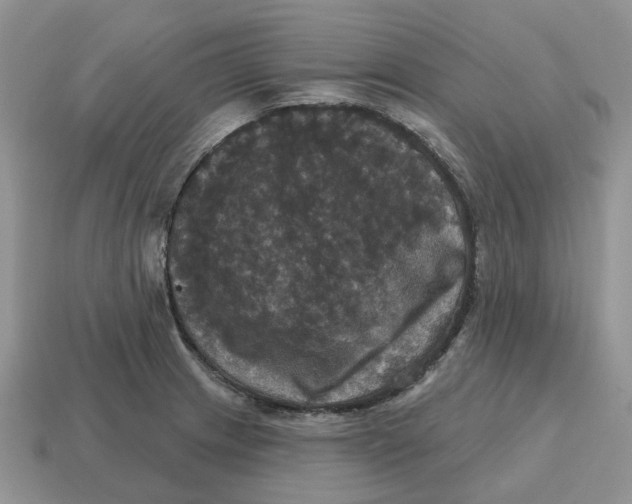 X0000114581233200911091229