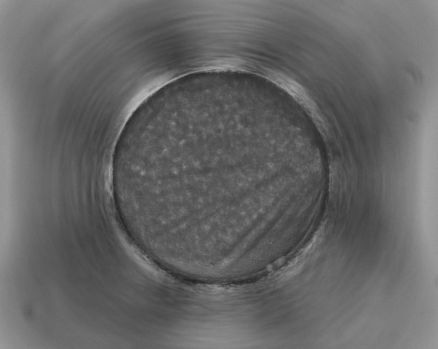 X0000114581234200911091229