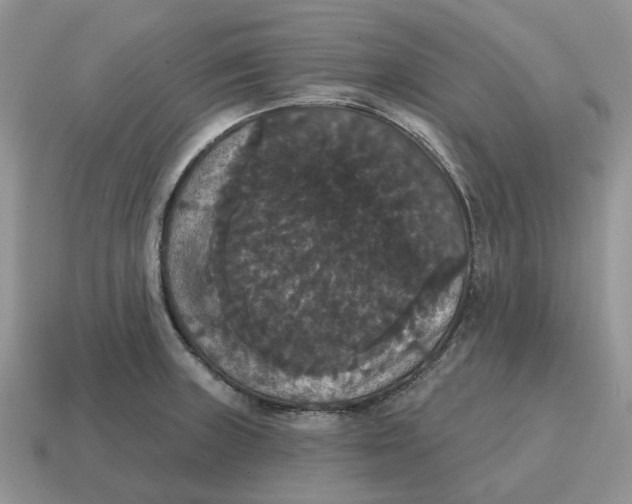 X0000114581235200911091229