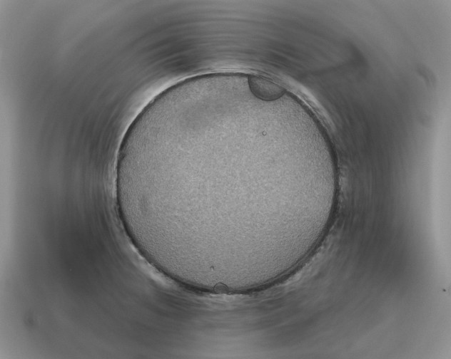 X0000114581236200911091229