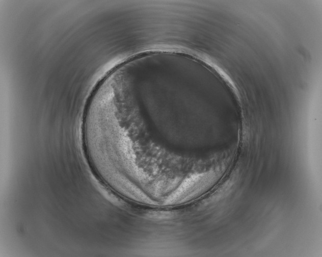 X0000114581237200911091229