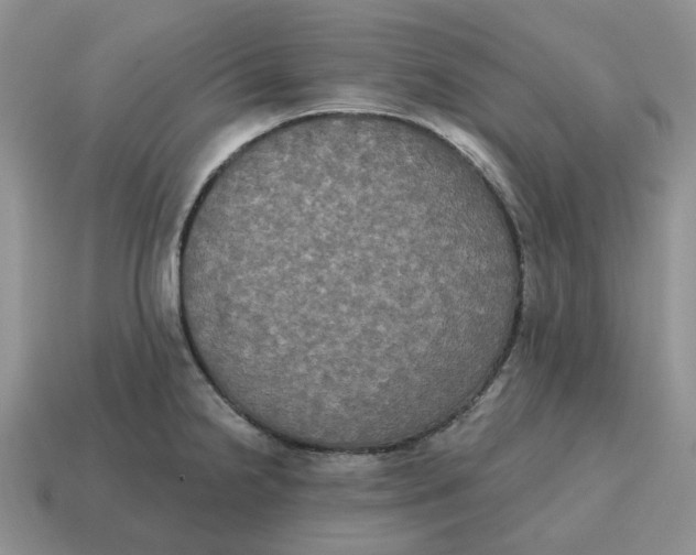 X0000114581238200911091229