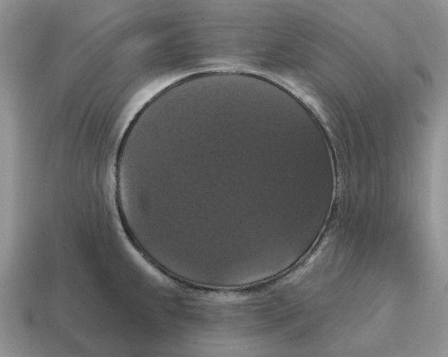 X0000114581239200911091229