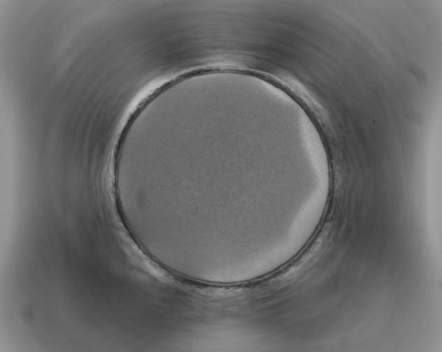 X0000114581240200911091229