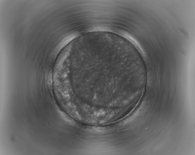 X0000114581241200911091229