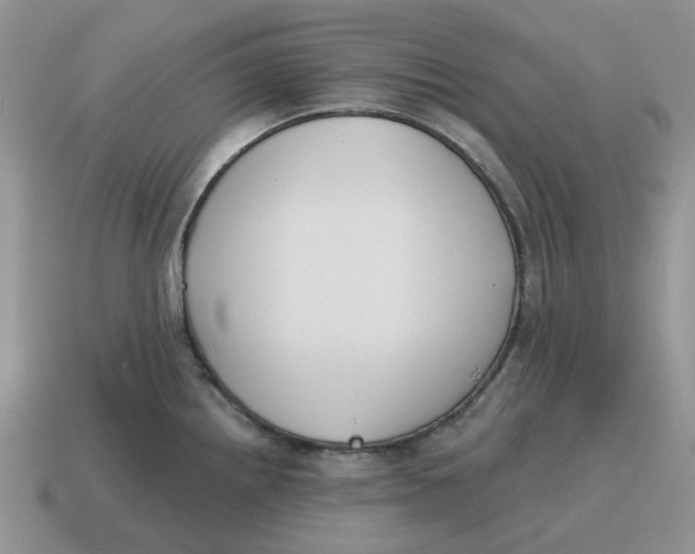 X0000114581242200911091229