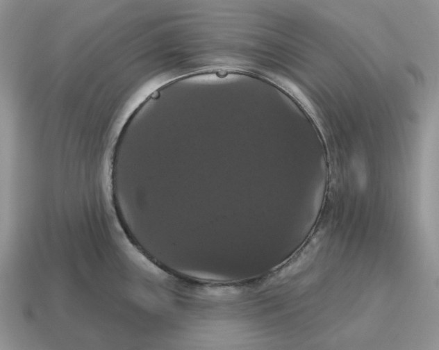 X0000114581243200911091229