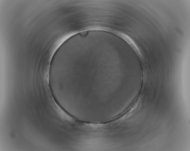 X0000114581244200911091229