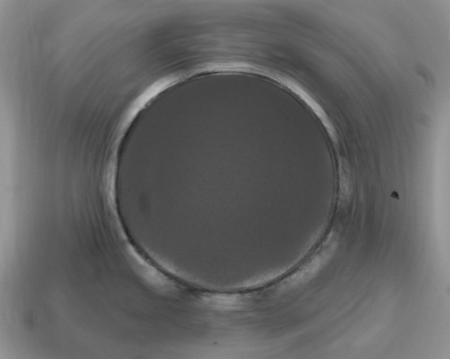 X0000114581245200911091229