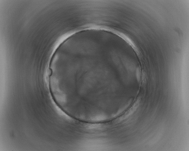 X0000114581247200911091229