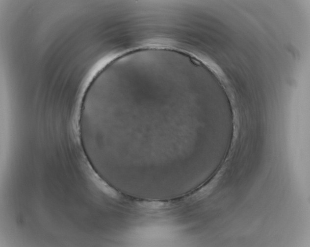 X0000114581248200911091229