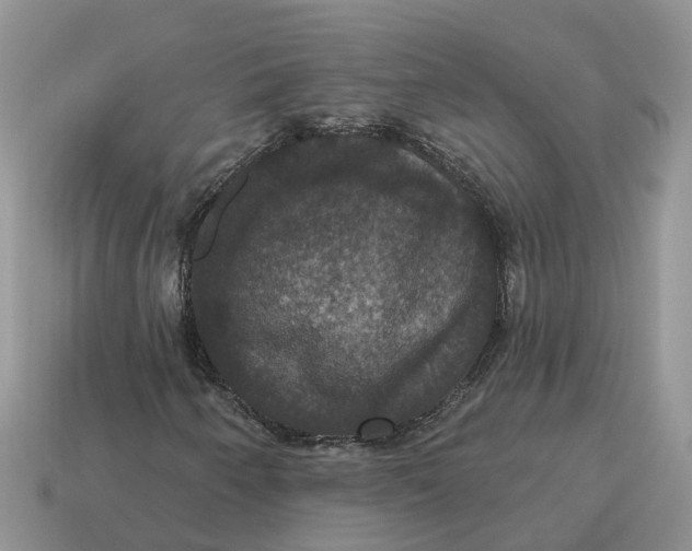 X0000114581250200911091229