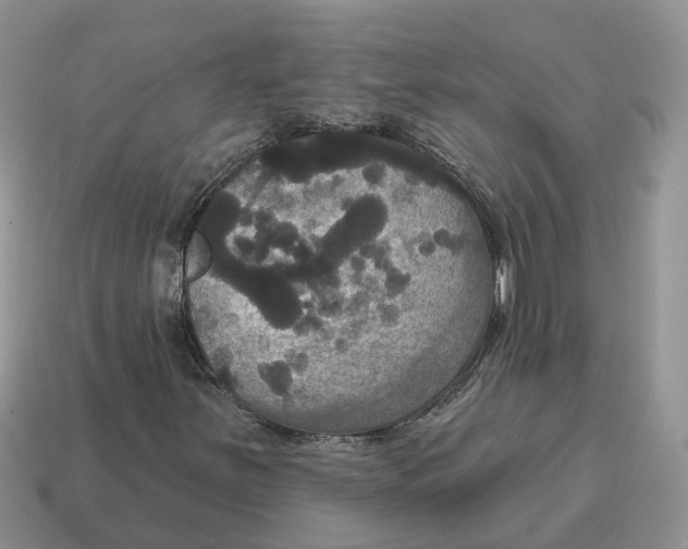 X0000114581251200911091229