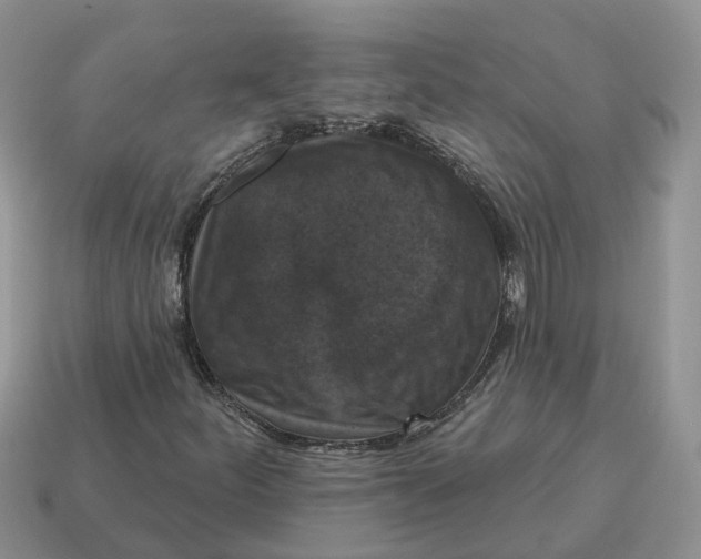 X0000114581252200911091229