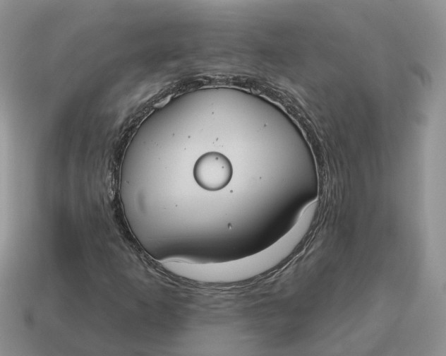 X0000114581253200911091229