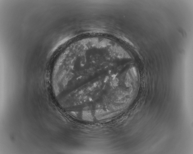 X0000114581255200911091229