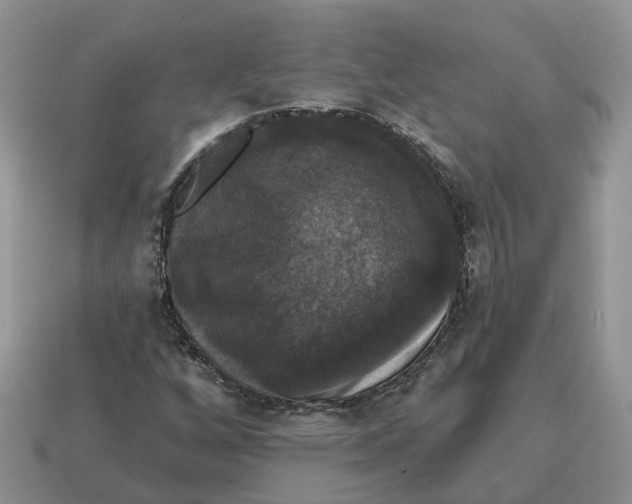 X0000114581256200911091229