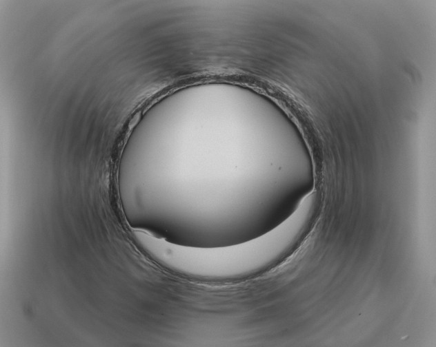 X0000114581257200911091229