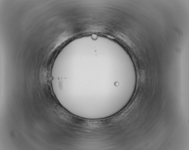 X0000114581258200911091229