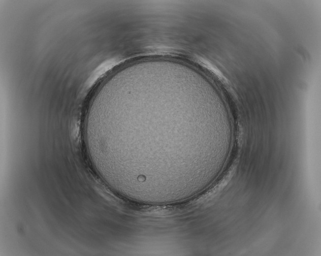 X0000114581259200911091229