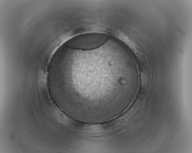 X0000114581260200911091229