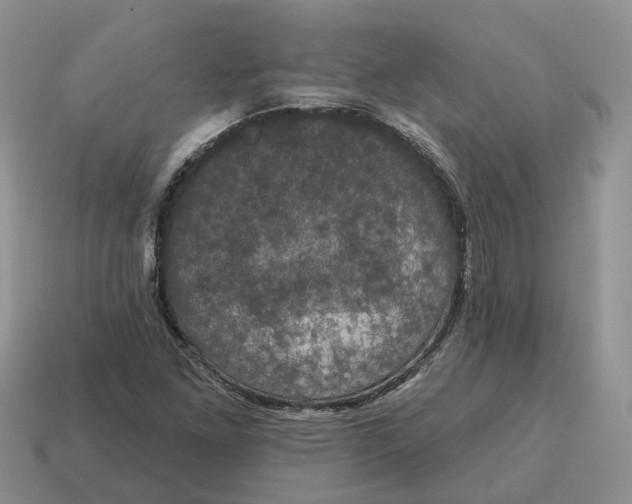 X0000114581261200911091229