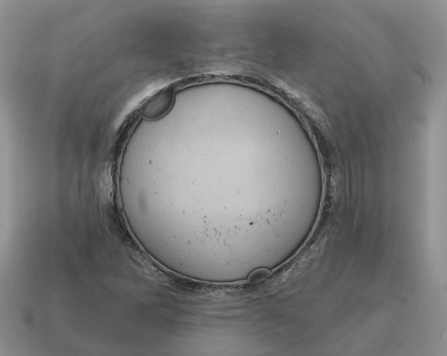 X0000114581262200911091229