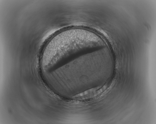 X0000114581263200911091229