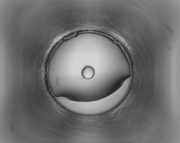 X0000114581264200911091229