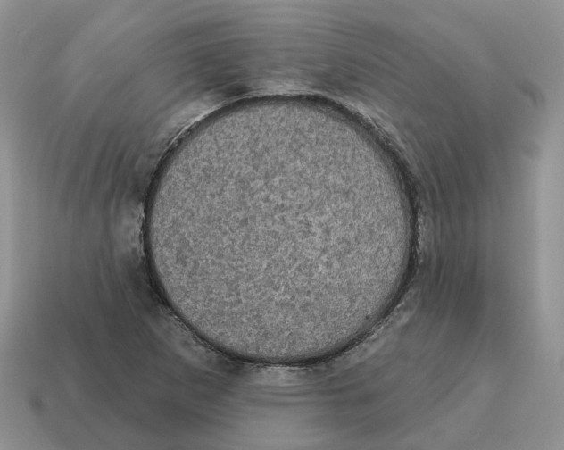 X0000114581265200911091229