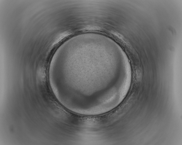 X0000114581266200911091228