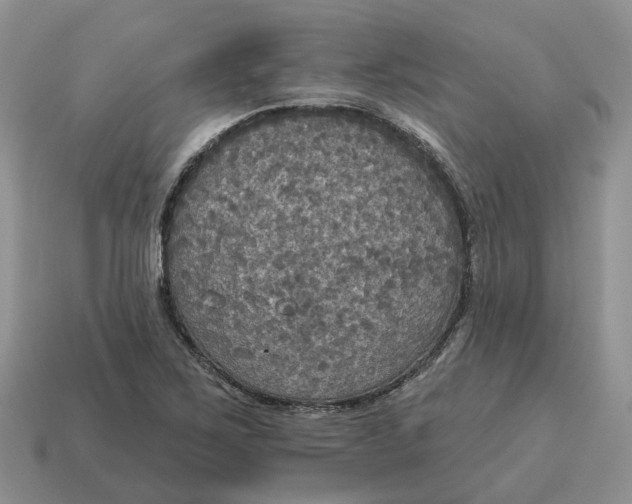 X0000114581267200911091228