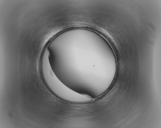 X0000114581269200911091228