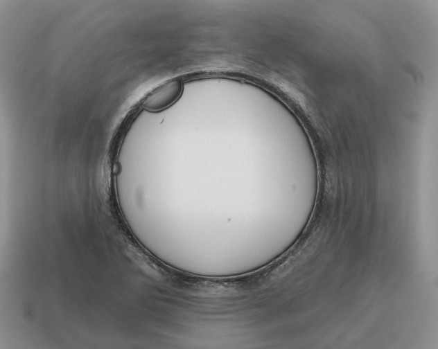 X0000114581270200911091228