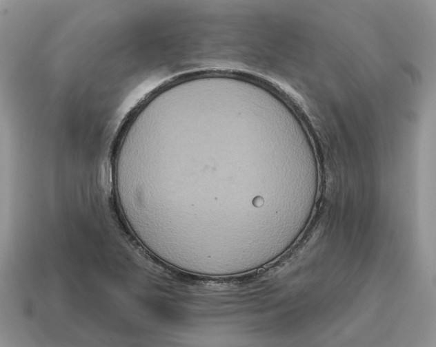 X0000114581271200911091228