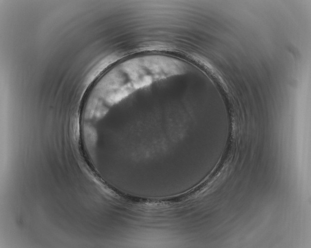 X0000114581274200911091228