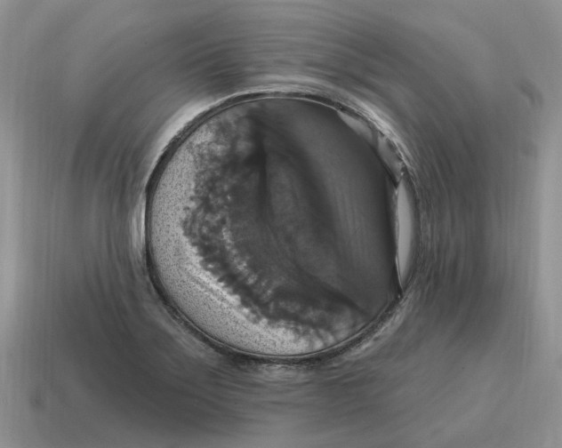 X0000114581275200911091228