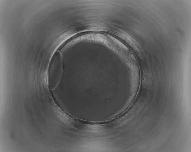 X0000114581276200911091228