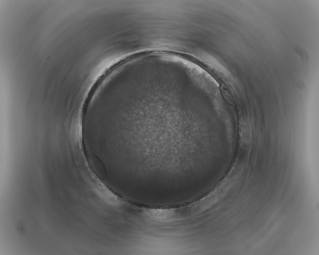 X0000114581280200911091228