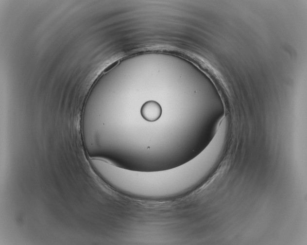 X0000114581281200911091228