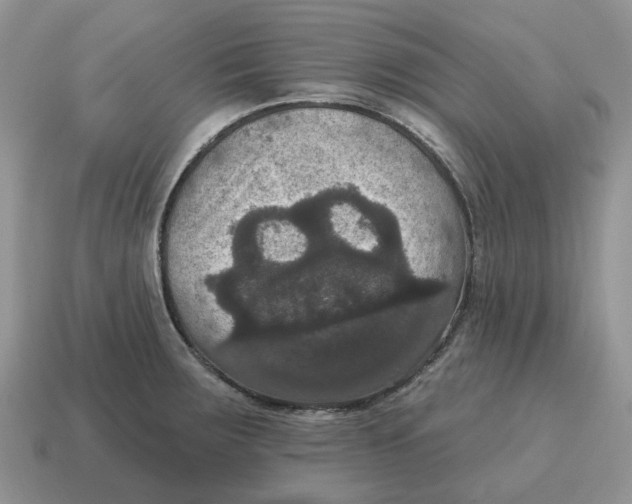 X0000114581283200911091228