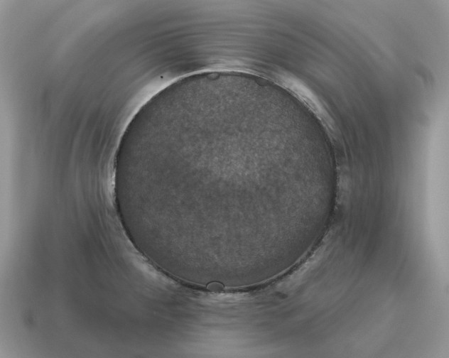 X0000114581284200911091228