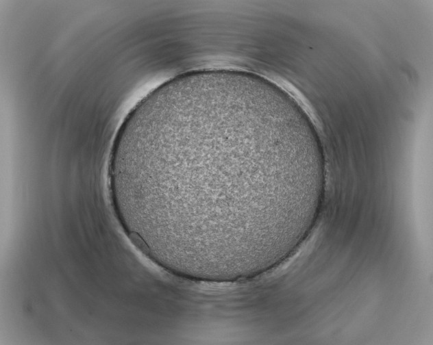 X0000114581285200911091228