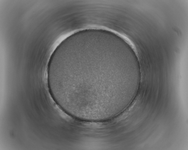 X0000114581287200911091228