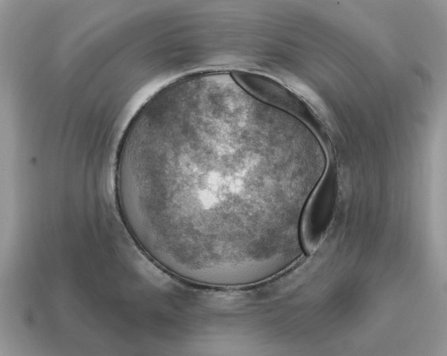 X0000114581288200911091228