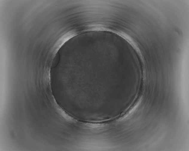 X0000114581289200911091228