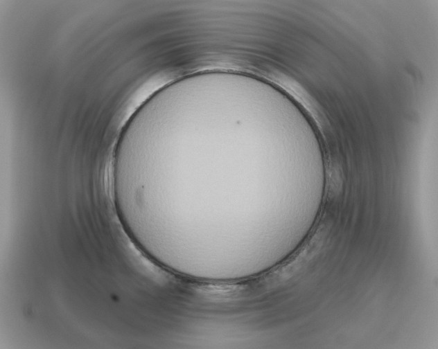 X0000114581290200911091228