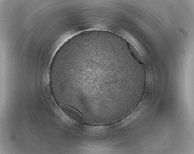 X0000114581292200911091228